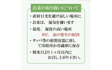 令和7年産 きぬむすめ10kg 無洗米 無洗 