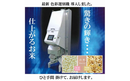 令和7年産 きぬむすめ10kg 無洗米 無洗 