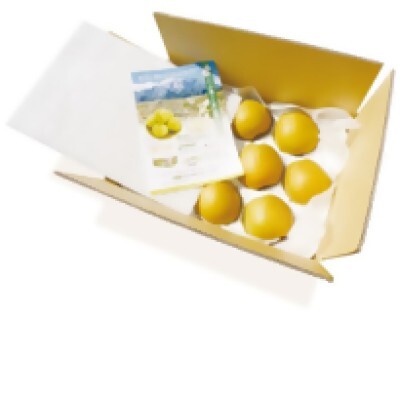 鳥取県産 梨「王秋(おうしゅう)」5kg