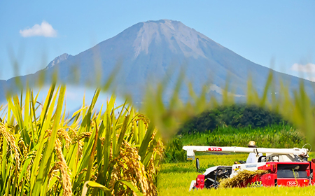 令和7年産 大山しらゆき米10kg 無洗米 無洗 コシヒカリ こしひかり 