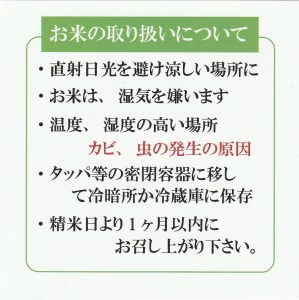 令和7年産 大山しらゆき米10kg 無洗米 無洗 コシヒカリ こしひかり 