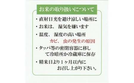 令和7年産  きぬむすめ10kg　無洗米
