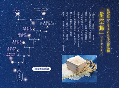 令和7年産 星空舞 10kg(5kg×2袋)