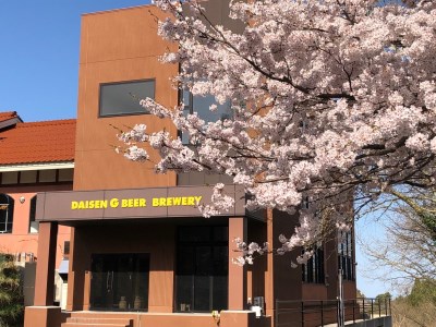 「大山Ｇビール　飲み比べ１２本セット」　ＹＳ−１２　地ビール　ビール