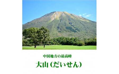 「大山Ｇビール　飲み比べ１２本セット」　ＹＳ−１２　地ビール　ビール