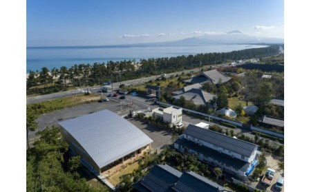 本池美術館 限定 ティッシュボックス (LIGHTBLUE) 本池秀夫監修 MOTO  レザー 革 革小物 