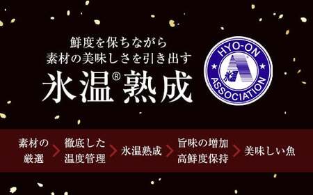 〈山陰大松〉ダイマツ 氷温熟成　煮魚・焼魚ギフトセット10切　IN-100【米子市魚貝類部門No.1 】