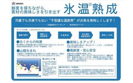 〈山陰大松〉ダイマツ 氷温熟成　煮魚・焼魚ギフトセット10切　IN-100【米子市魚貝類部門No.1 】