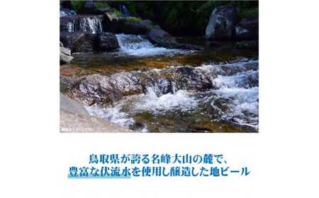 大山Gビール「特急やくも」ラベル6本セット JR-Y6N