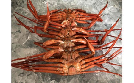  【年内配送 訳あり 数量限定 期間限定】　脚折れ紅ズワイガニ（合計1.5kg）