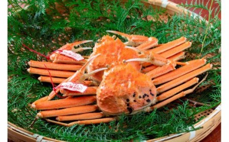 【数量限定】プロが認めるこだわり浜ゆで松葉かに(700g~800g×2) ずわいがに カニ 蟹