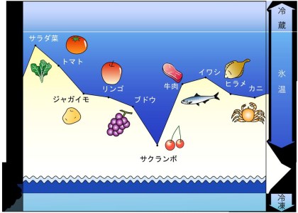 【ANA FINDELISH】ANA国際線ファーストクラス、ビジネスクラス機内食より厳選された魚の切り身豪華詰め合わせ
