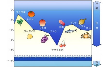 〈山陰大松〉ダイマツ 氷温🄬熟成　西京漬けギフトセット10切れ SSK-50  