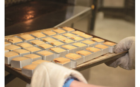 断捨離パイナップル　2個 断捨離パイナップル様専用 2個