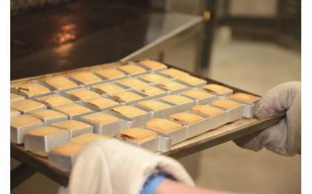 鳳梨パイナップルケーキ 5個入×2