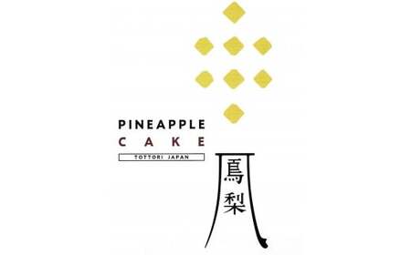鳳梨パイナップルケーキ 5個入×2