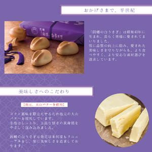 因幡の白うさぎ(黄身餡16個入り、抹茶餡8個入)【推し土産全国1位獲得！】【寿製菓株式会社 寿スピリッツグループ】