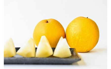 王秋 【倉吉産】5kg（JA鳥取中央） 梨 果物 フルーツ