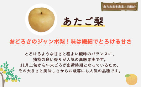 あたご梨 【倉吉産】 ５ｋｇ（倉吉市果実農業共同組合） 梨 あたご梨