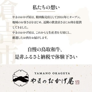 鳥取県産牛 ヒレの角切りステーキ (600g) 牛肉 ヒレ 国産 ステーキ