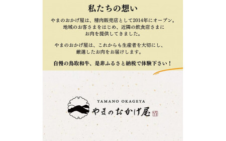 鳥取県産牛 カルビ&ハラミセット（計500g） 和牛 ブランド和牛 国産牛 カルビ ハラミ 焼き肉 焼肉 