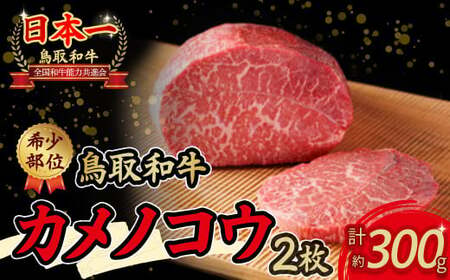 鳥取和牛 希少部位ステーキ「カメノコウ」(300g) 牛肉 和牛 鳥取和牛 ブランド和牛 黒毛和牛 ステーキ 希少部位ステーキ 和牛ステーキ 国産ステーキ カメノコウ