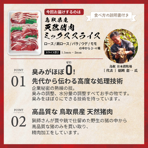 鳥取県産 天然猪肉 ミックススライス（1kg） 猪肉