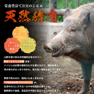 鳥取県産 天然猪肉 ミックススライス（1kg） 猪肉