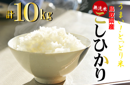＜無洗米＞鳥取県産コシヒカリ 10kg 令和５年産 お米 米 こめ コメ 無洗米 こしひかり コシヒカリ