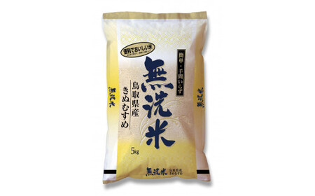 ＜無洗米＞鳥取県産きぬむすめ（５ｋｇ×２袋）令和５年産 新米 お米 米 こめ コメ 無洗米 きぬむすめ