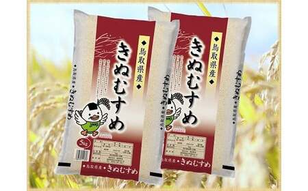 鳥取県産きぬむすめ（５ｋｇ×２袋）令和５年産 新米 お米 米 こめ コメ 白米 きぬむすめ