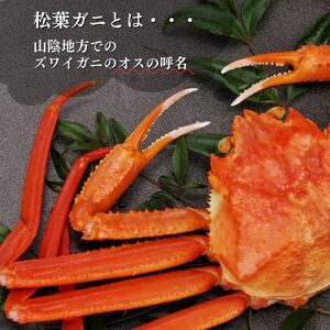 【倉吉魚市】ボイル松葉がに（大 1枚：700g以上） 松葉ガニ 松葉がに かに カニ 蟹 ボイル ズワイガニ カニ爪 冷蔵 数量 期間 限定 数量限定 ずわいがに 