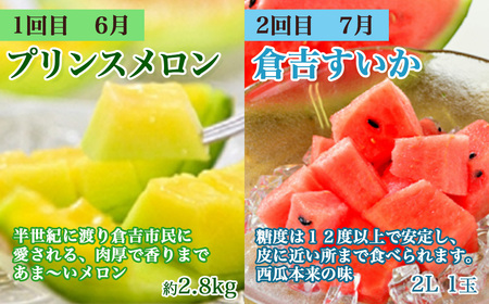 【数量限定】倉吉のフルーツ定期便 2026 先行予約 【6月から6回のお届け】鳥取県 倉吉市 新甘泉 二十世紀梨 王秋 スイカ プリンスメロン ディーバメロン メロン 6回 お届け 果物 定期便 期間限定