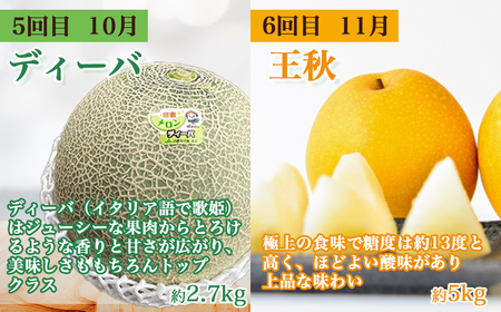 【数量限定】倉吉のフルーツ定期便 2026 先行予約 【6月から6回のお届け】鳥取県 倉吉市 新甘泉 二十世紀梨 王秋 スイカ プリンスメロン ディーバメロン メロン 6回 お届け 果物 定期便 期間限定
