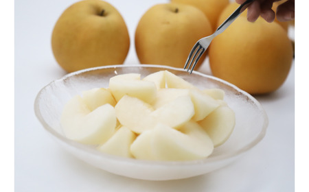 新興梨 【倉吉産】5kg（JA鳥取中央） 梨 果物 フルーツ