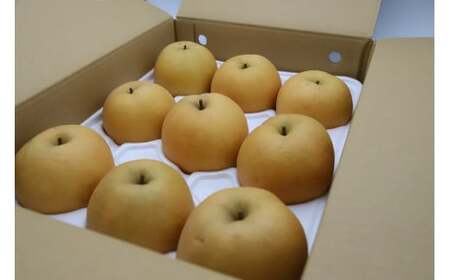 新興梨 【倉吉産】5kg（JA鳥取中央） 梨 果物 フルーツ