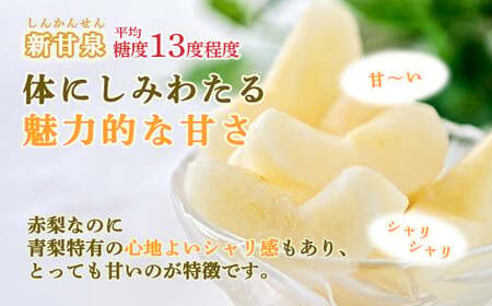 新甘泉と二十世紀梨の食べ比べセット 【鳥取県産】 ５kg (生橋農園) 梨 果物 フルーツ