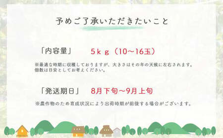 新甘泉と二十世紀梨の食べ比べセット 【鳥取県産】 ５kg (生橋農園) 梨 果物 フルーツ