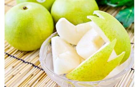 二十世紀梨 【鳥取県産】５kg（生橋農園） 梨 果物 フルーツ