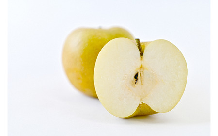 新甘泉 【倉吉産】5kg（ＪＡ鳥取中央） 梨 果物 和梨