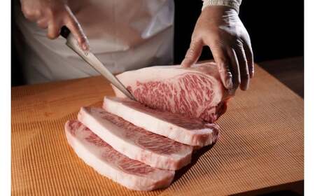 鳥取和牛 オレイン55 サーロインステーキ 2枚 （500g） 牛肉 黒毛和牛 KR1288 