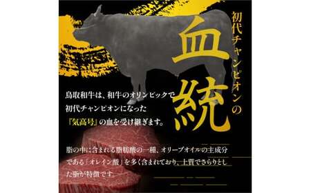 鳥取和牛 ヒレステーキ 3枚 ( 360g ) 牛肉 和牛 KR1348