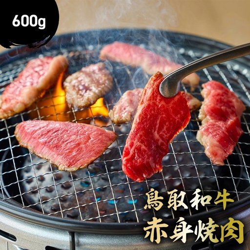 鳥取和牛 赤身焼肉 （600g） 牛肉 焼肉 赤身 KR1447