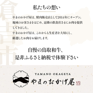 鳥取和牛 霜降り切り落とし 300g ロース バラ 切り落とし 国産 牛肉 ブランド牛 和牛 黒毛和牛 肉 鳥取県 倉吉市 KR1468