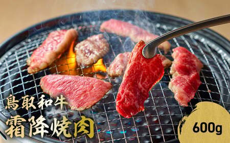 鳥取和牛 霜降焼肉 （600g） 牛肉 和牛 鳥取和牛 ブランド和牛 焼肉 焼肉用 焼き肉 焼き肉用 和牛霜降り ロース バラ 黒毛和牛 KR1478