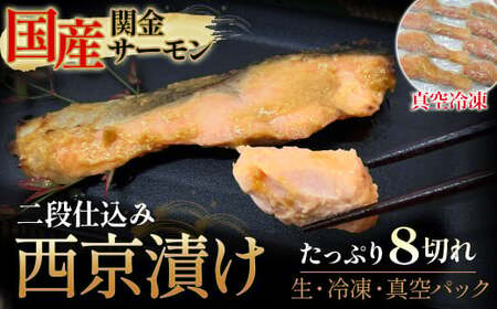 【真空冷凍】 関金サーモン 切り身 二段仕込み西京漬け 480g（60g×8切れ） マス 鮭 サーモン