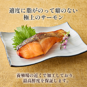 【1切れずつ真空冷凍】 関金サーモン 切り身 二段仕込み西京漬け 480g（60g×8切れ） マス 鮭 サーモン