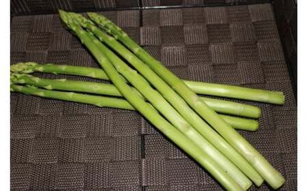 季節のお野菜セット(7~10種) 国産 鳥取県産品 定期便 詰め合わせ 新鮮