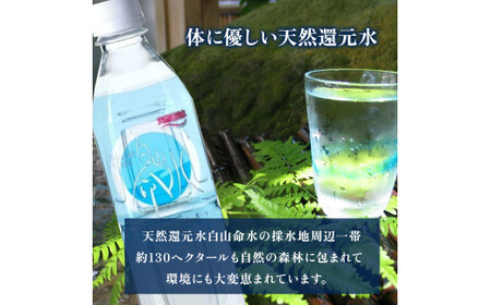 白山命水セットA 500ml×24本 ミネラルウォーター 国産 天然水