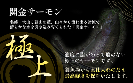 【真空冷凍】 関金サーモン ふり塩切り身 1.440g(60g×24切れ) マス 鮭 サーモン